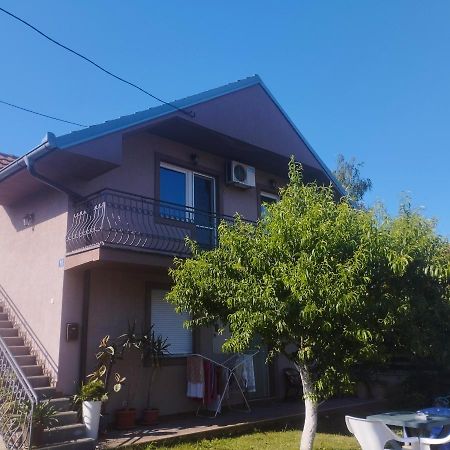 Apartment Andjela Bělehrad Exteriér fotografie