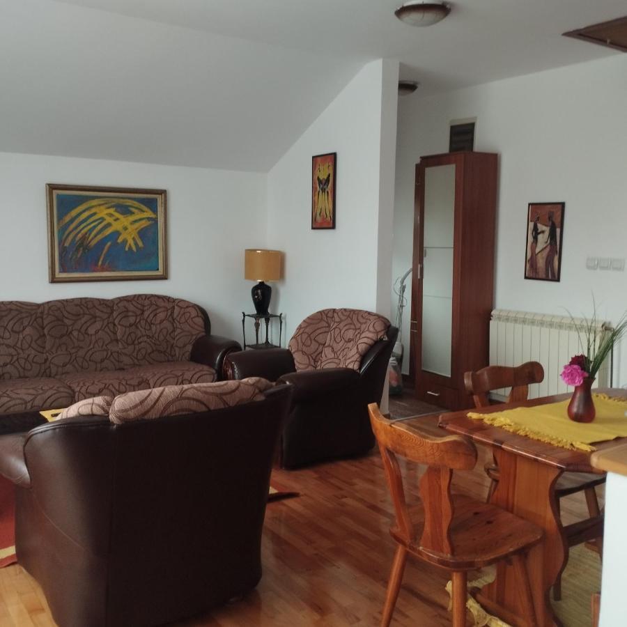 Apartment Andjela Bělehrad Exteriér fotografie